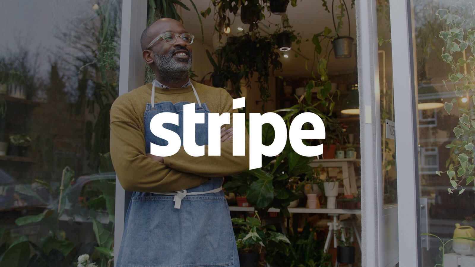 stripe