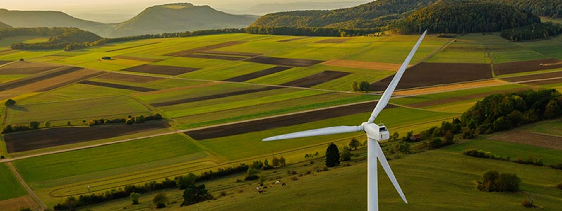 Single wind turbine in a lush, green field with the horizon in the background