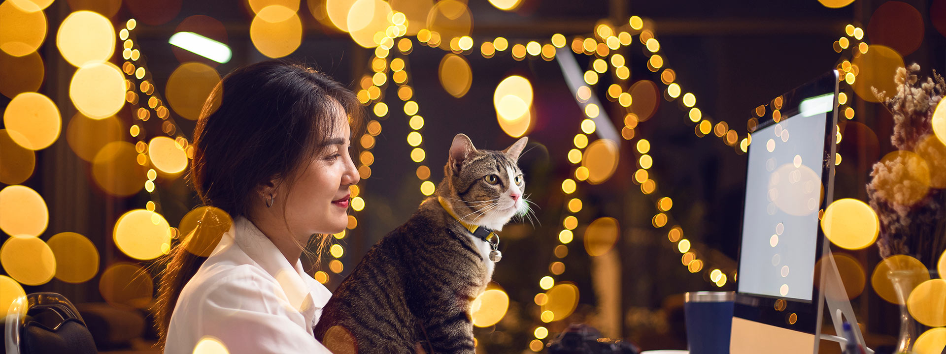 Woman with cat on her lap sitting at a desk looking at a computer surrounded by twinkly lights